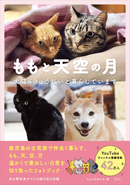 ももと天空の月 犬猫4きょうだいと暮らしています – 丸善ジュンク堂