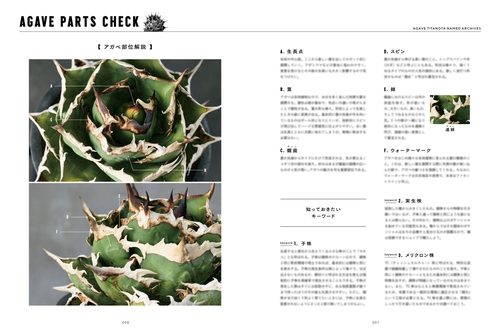 アガベ・チタノタ ネームド図鑑 – 丸善ジュンク堂書店ネットストア