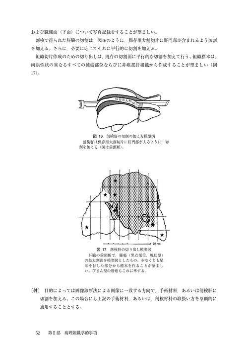 臨床・病理 原発性肝癌取扱い規約 第7版　10冊 臨床・病理 原発性肝癌取扱い規約 第7版 – 丸善ジュンク堂書店ネットストア