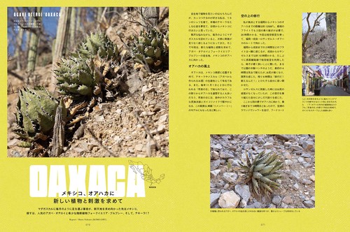 アガベ・チタノタ ネームド図鑑 – 丸善ジュンク堂書店ネットストア