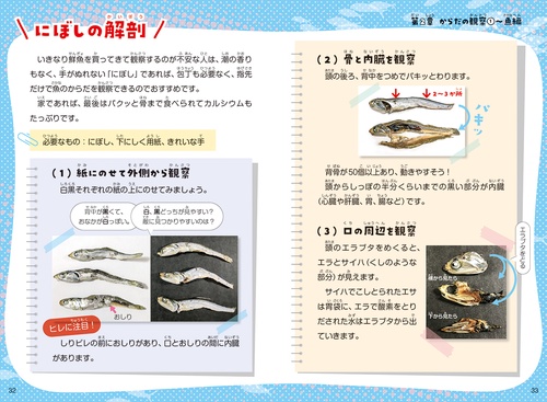 こども動物大百科 9 海と川の魚たち　00-12 ハヤタケ先生のこども魚食大百科 – 丸善ジュンク堂書店ネットストア