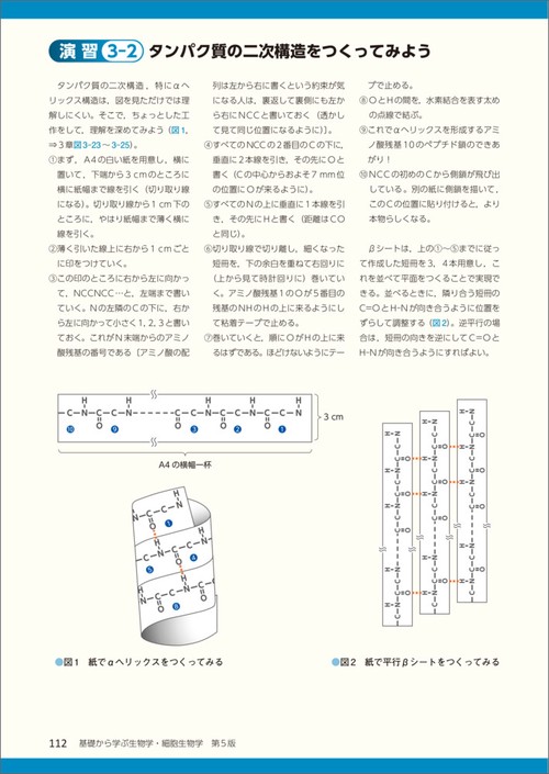 基礎分子生物学 第5版 基礎分子生物学 （第5版） : 紀伊國屋書店Yahoo!店 - 通販 - Yahoo