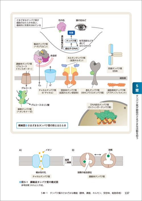 基礎から学ぶ生物学・細胞生物学 第5版 – 丸善ジュンク堂書店ネットストア