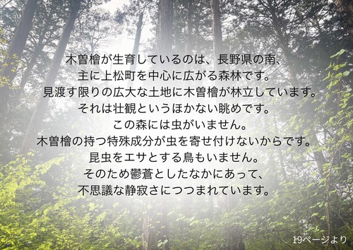 しあわせの歯磨き – 丸善ジュンク堂書店ネットストア