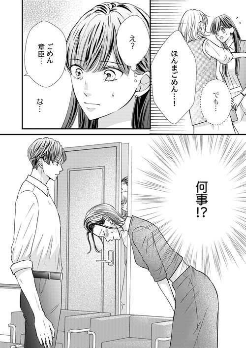 じゃない方、だけど愛され婚～契約婚の相手は一途すぎる社長3 – 丸善