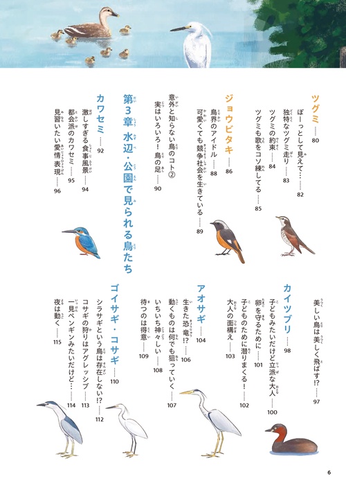 意外と知らない鳥の生活 – 丸善ジュンク堂書店ネットストア