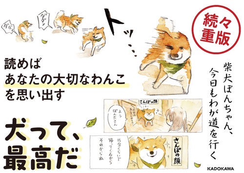 言葉足らずぽんちゃんページ 柴犬ぽんちゃん、今日もわが道を行く – 丸善ジュンク堂書店ネットストア