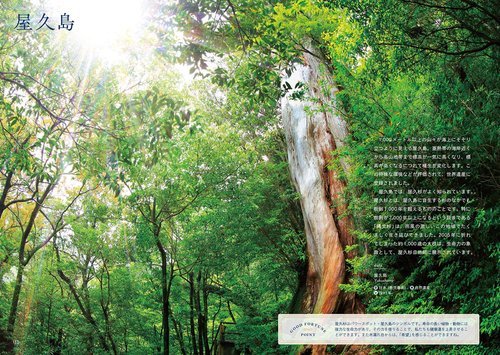 見るだけで運気があがる世界遺産 – 丸善ジュンク堂書店ネットストア