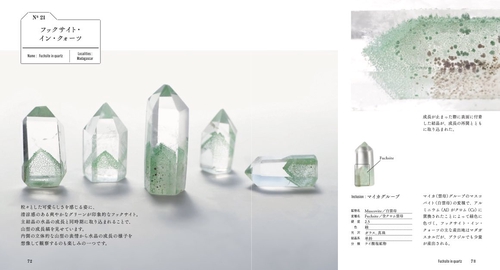 美しいインクルージョンの宝石・鉱物図鑑 – 丸善ジュンク堂書店ネット