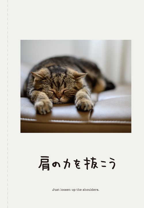 新♪ 人生はニャンとかなる！ – 丸善ジュンク堂書店ネットストア