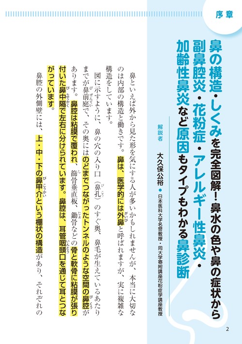 副鼻腔炎 ちくのう 花粉症・アレルギー性鼻炎・後鼻漏 鼻づまり・鼻水