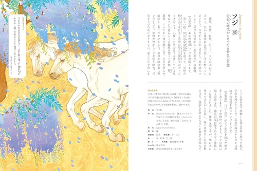 物語のある花図鑑 – 丸善ジュンク堂書店ネットストア