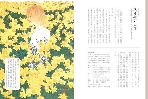 物語のある花図鑑 – 丸善ジュンク堂書店ネットストア