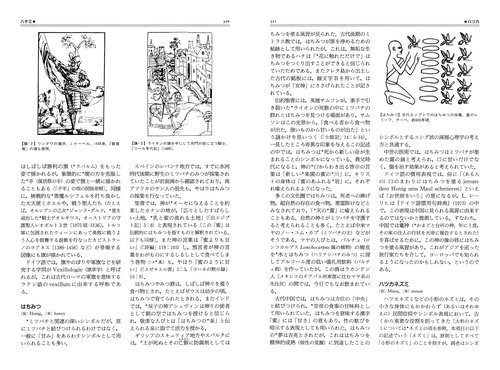 図説 世界シンボル事典 – 丸善ジュンク堂書店ネットストア