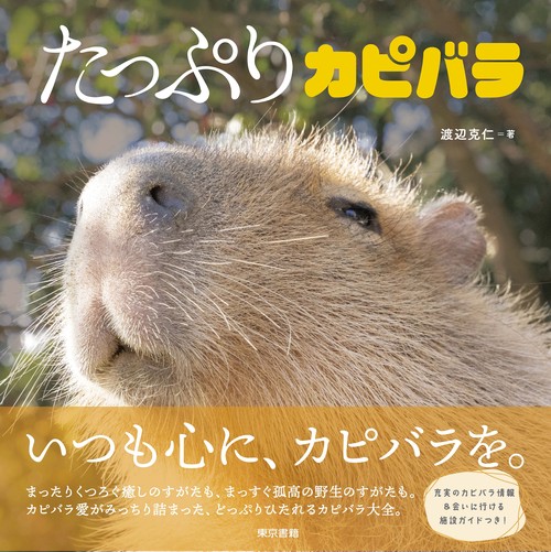 たっぷりカピバラ – 丸善ジュンク堂書店ネットストア