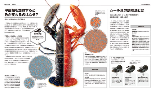 料理の科学大図鑑 【コンパクト版】 – 丸善ジュンク堂書店ネットストア