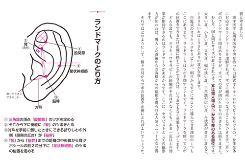 オリキュロセラピーマニュアル フランス式耳ツボ療法 オリキュロセラピー – 丸善ジュンク堂書店ネット