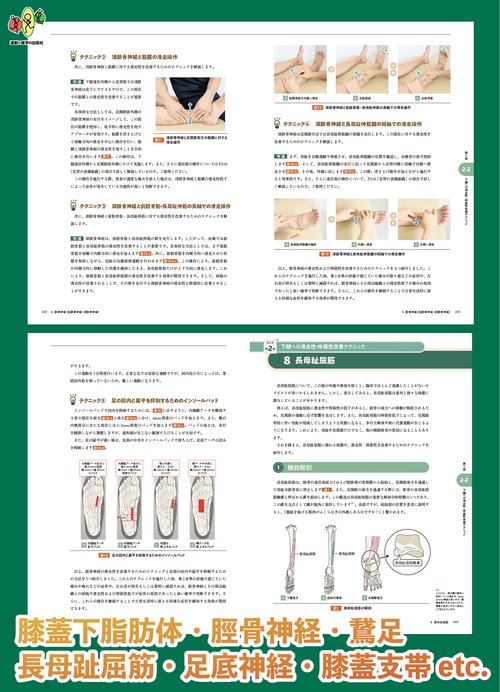 園部俊晴の臨床 『徒手療法ガイドブックⅡ』 膝関節・下腿・足関節・足