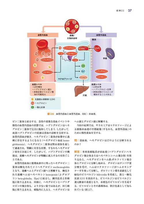 ミースフェルド生化学 ミースフェルド生化学 | Miesfeld,Roger L., McEvoy,Megan M., 昇