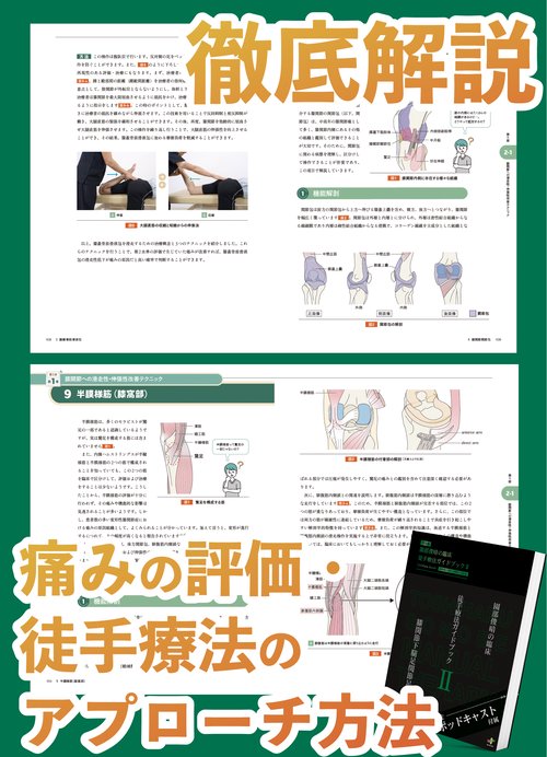 園部俊晴の臨床 『徒手療法ガイドブックⅡ』 膝関節・下腿・足関節・足