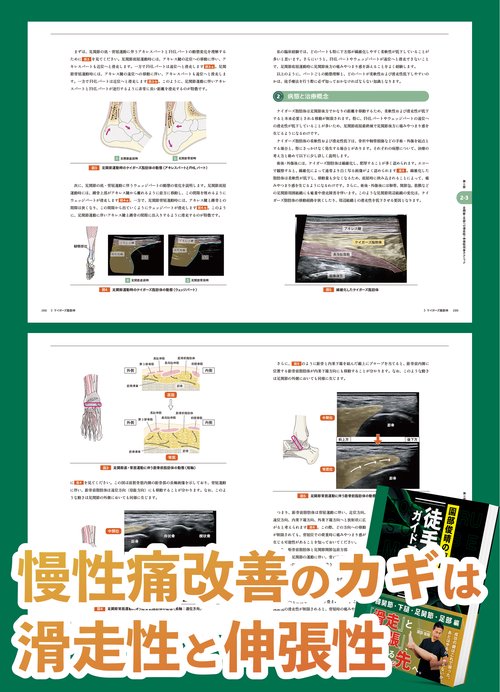 園部俊晴の臨床 『徒手療法ガイドブックⅡ』 膝関節・下腿・足関節・足