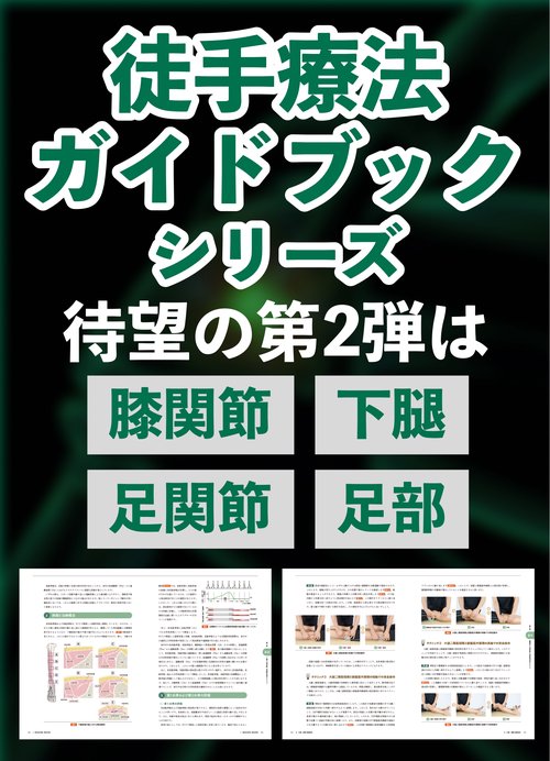 園部俊晴の臨床 『徒手療法ガイドブックⅡ』 膝関節・下腿・足関節・足