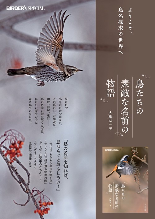 鳥たちの素敵な名前の物語 – 丸善ジュンク堂書店ネットストア