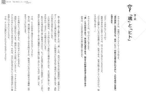 真・魂の飛ばし方 – 丸善ジュンク堂書店ネットストア