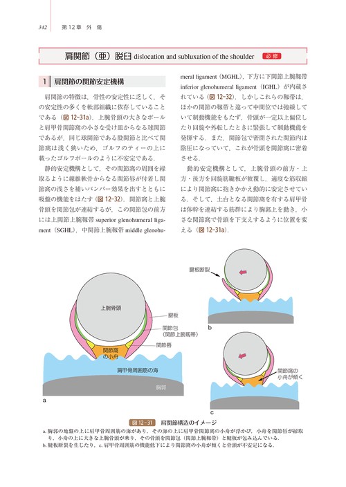 TEXT整形外科学 – 丸善ジュンク堂書店ネットストア