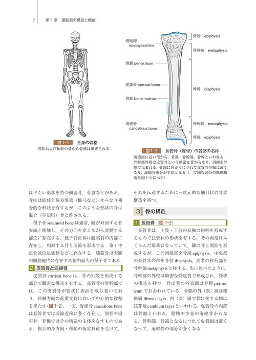 TEXT整形外科学 – 丸善ジュンク堂書店ネットストア
