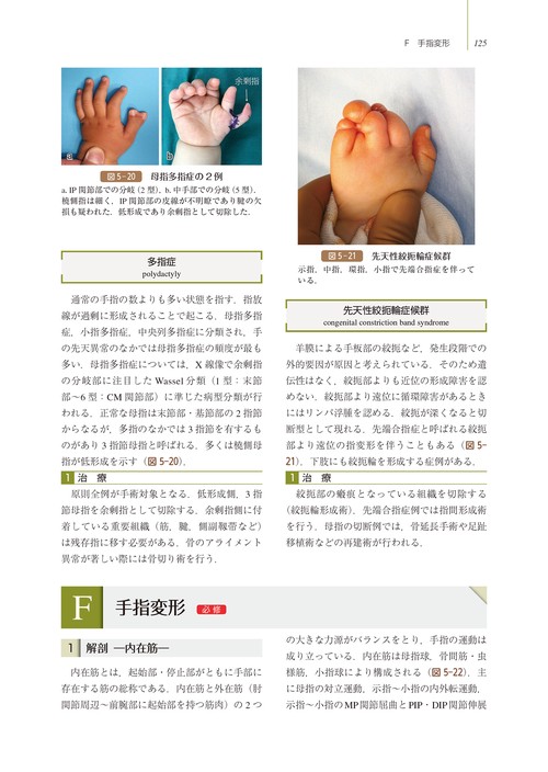 TEXT整形外科学 – 丸善ジュンク堂書店ネットストア