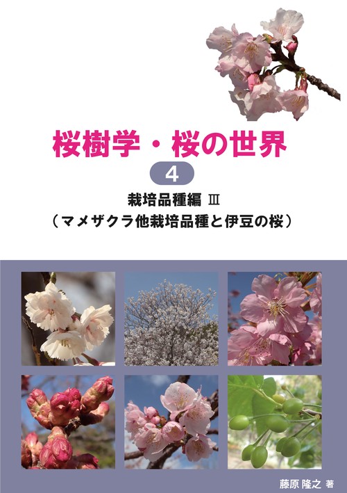 桜樹学・桜の世界 4 栽培品種編Ⅲ（マメザクラ他栽培品種と伊豆の桜
