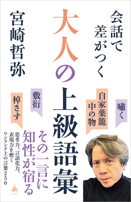 【中古】白話語彙の研究 会話で差がつく大人の上級語彙 – 丸善ジュンク堂書店ネットストア