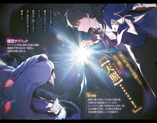 無限の魔術師2 魔力無しで平民の子と迫害された俺。実は無限の魔力