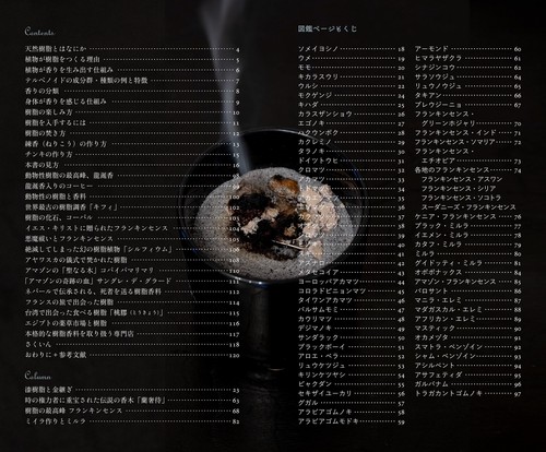 天然樹脂ハンドブック – 丸善ジュンク堂書店ネットストア