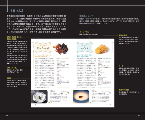 天然樹脂ハンドブック – 丸善ジュンク堂書店ネットストア