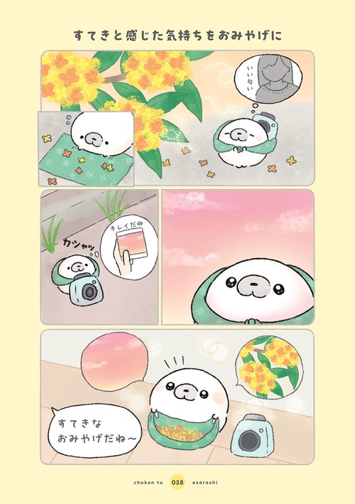 ちょこんとあざらし – 丸善ジュンク堂書店ネットストア