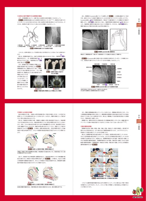 赤羽根良和の臨床 股関節 – 丸善ジュンク堂書店ネットストア