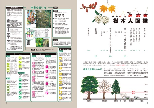 よくわかる 樹木大図鑑 – 丸善ジュンク堂書店ネットストア