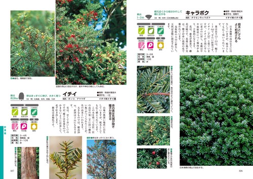 よくわかる 樹木大図鑑 – 丸善ジュンク堂書店ネットストア