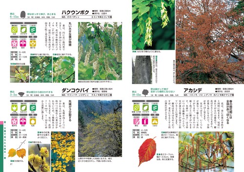 よくわかる 樹木大図鑑 – 丸善ジュンク堂書店ネットストア