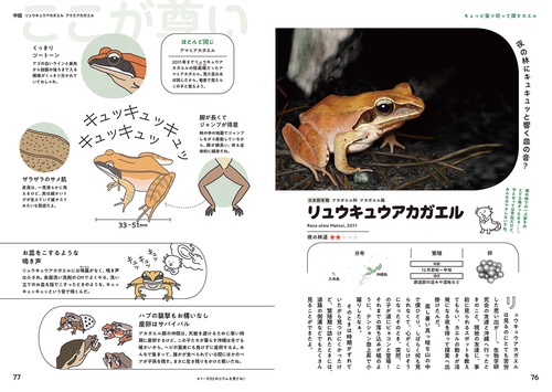 日本のカエル48 偏愛図鑑 – 丸善ジュンク堂書店ネットストア