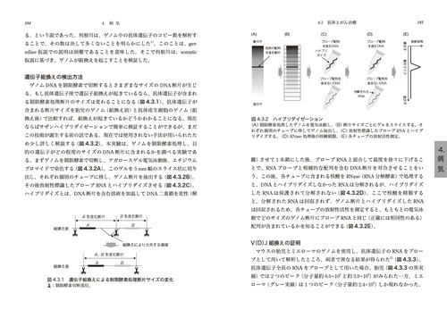 ノーベル賞論文に見る生命科学研究の思考法 – 丸善ジュンク堂書店