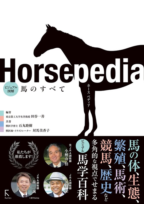 時代 馬学 巻物 まくり 4枚 和本 墨書 馬医書 馬療図 古文書 資料 戦前 失われた伝統：前近代の日本における馬と馬医術』 - 青羽古書店 AOBANE