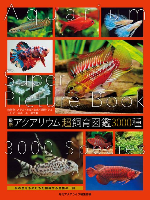 最新 アクアリウム超飼育図鑑 3000種 – 丸善ジュンク堂書店ネットストア