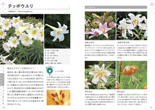 新版 色と形で見わけ散歩を楽しむ花図鑑 – 丸善ジュンク堂書店ネットストア