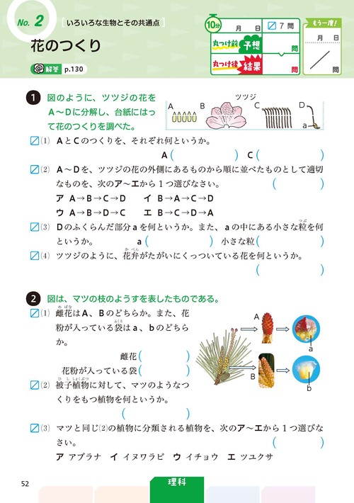 中学 教科書ぴったりドリル 5科1年 全教科書版 1回10分で教科書の