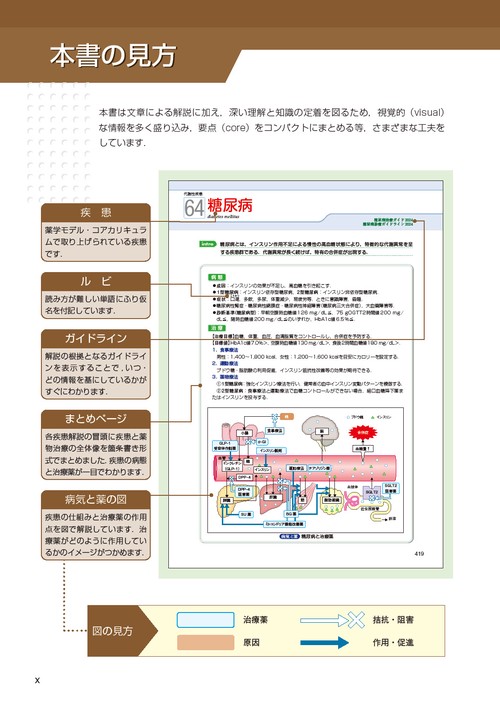 visual core pharma 薬物治療学 – 丸善ジュンク堂書店ネットストア