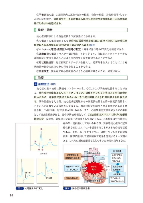 visual core pharma 薬物治療学 – 丸善ジュンク堂書店ネットストア