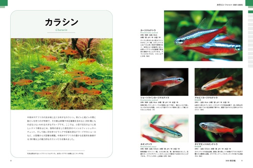 最新 アクアリウム超飼育図鑑 3000種 – 丸善ジュンク堂書店ネットストア